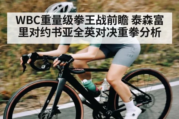 WBC重量级拳王战前瞻 泰森富里对约书亚全英对决重拳分析